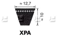 V-snaren XPA